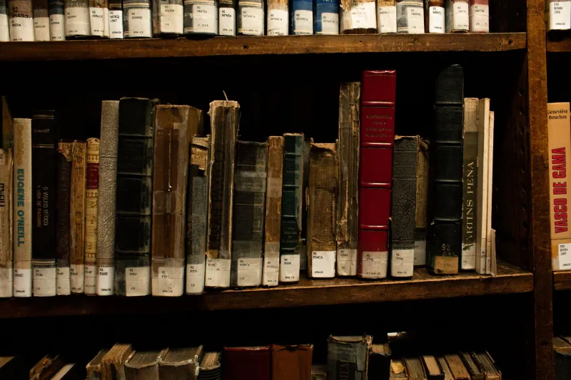 The Ghost on the Bestseller List: America's Most Celebrated Author Who Never Existed