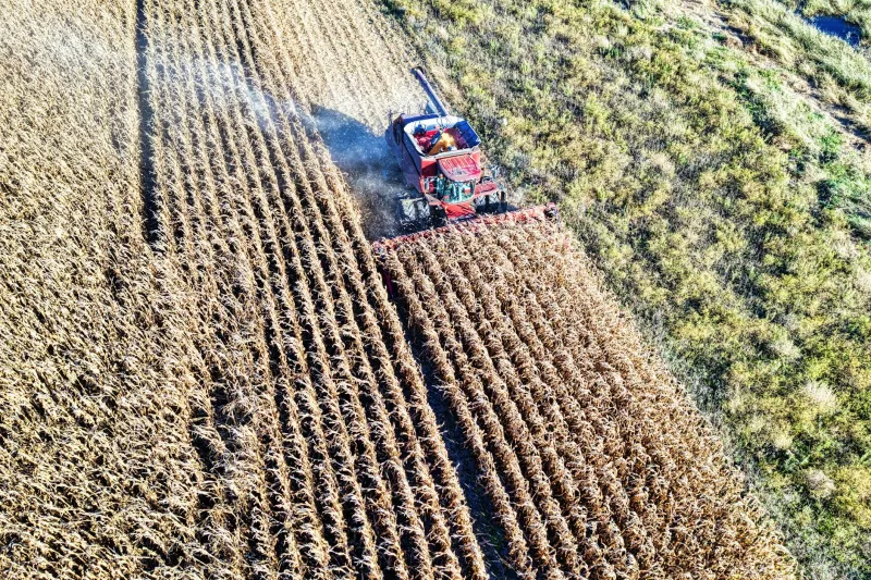 The Survey Error That Made a Highway Belong to a Corn Farmer